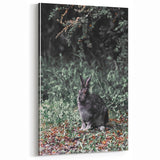 Forest Rabbit: Serene Rustic Nature Wall Art Print