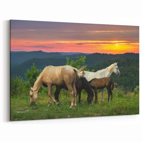 Kentucky Horses at Sunset Art – Scenic Wall Decor for Horse Lovers