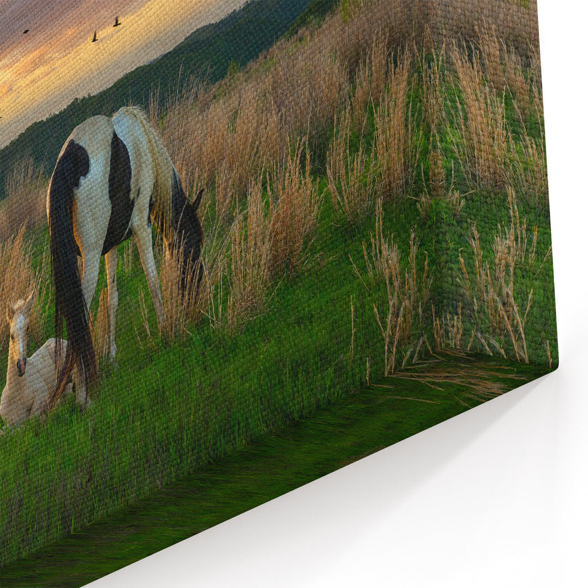 Kentucky Horses Evening Sky Art – Scenic Wall Decor for Nature Lovers