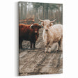 Farmhouse Wall Art – Rustic Highland Cows in Nature – Country Style Decor