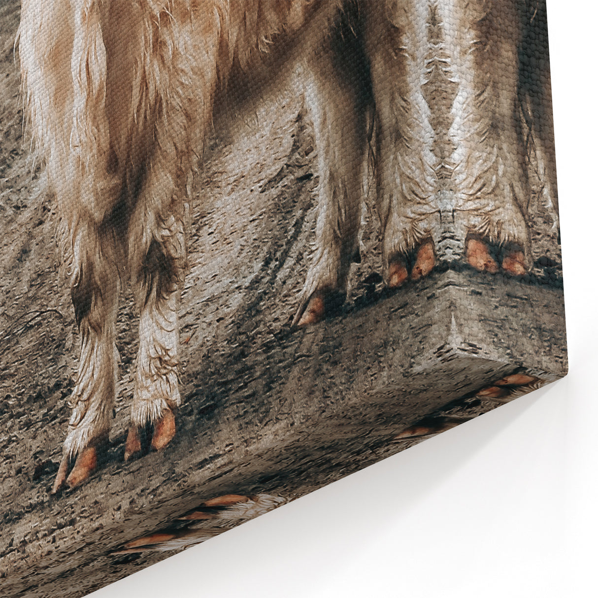 Farmhouse Wall Art – Rustic Highland Cows in Nature – Country Style Decor