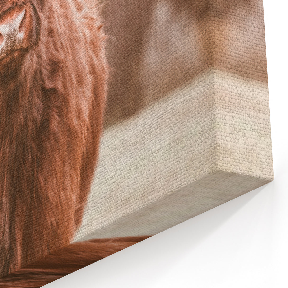 Farmhouse Wall Art – Rustic Highland Cow Portrait – Country Style Decor