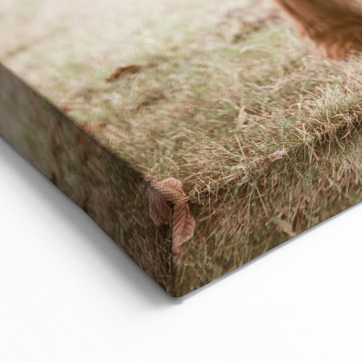 Farmhouse Wall Art – Rustic Highland Cow Portrait – Country Style Decor