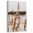 Farmhouse Wall Art – Rustic Wheat Field Close-Up – Country Style Decor