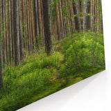 Lithuania Wall Art - Baltic Region Art of Tranquil Forest Landscape