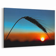 Kansas Wall Art - Wheat Silhouette at Sunset Kansas Nature Art Print