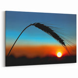 Kansas Wall Art - Wheat Silhouette at Sunset Kansas Nature Art Print