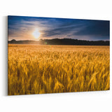Kansas Landscape Prints - Golden Wheat Field at Sunset Kansas Photography