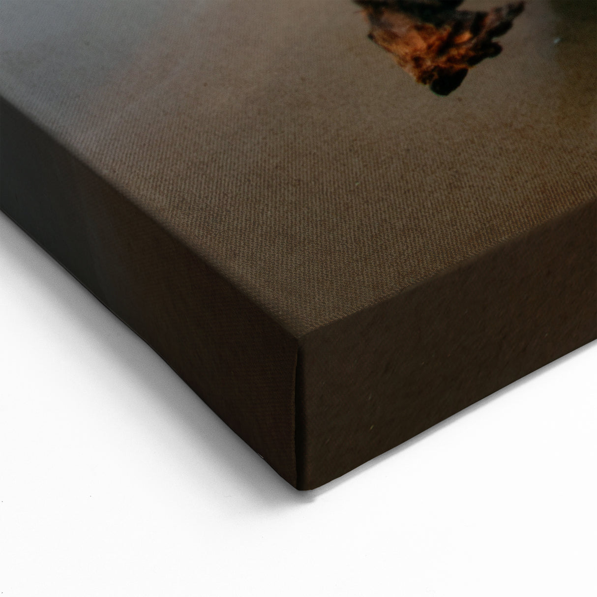 Baltic Sea Art - Moody Lithuanian Beach Canvas Print