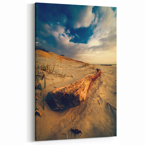 Europe Landscape Art - Baltic Dunes and Driftwood Canvas Print