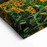 Kansas Nature Art - Sunflower Field at Sunset Scenic Kansas Photography