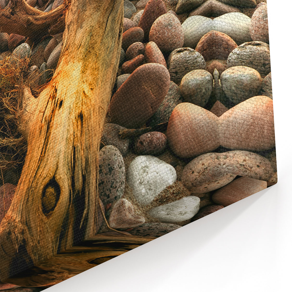 Baltic Region Art - Pebbled Shore at Sunset Canvas Print