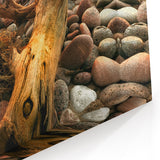 Baltic Region Art - Pebbled Shore at Sunset Canvas Print