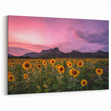 Kansas Nature Art - Sunflower Field at Dusk with Mountain Backdrop Print