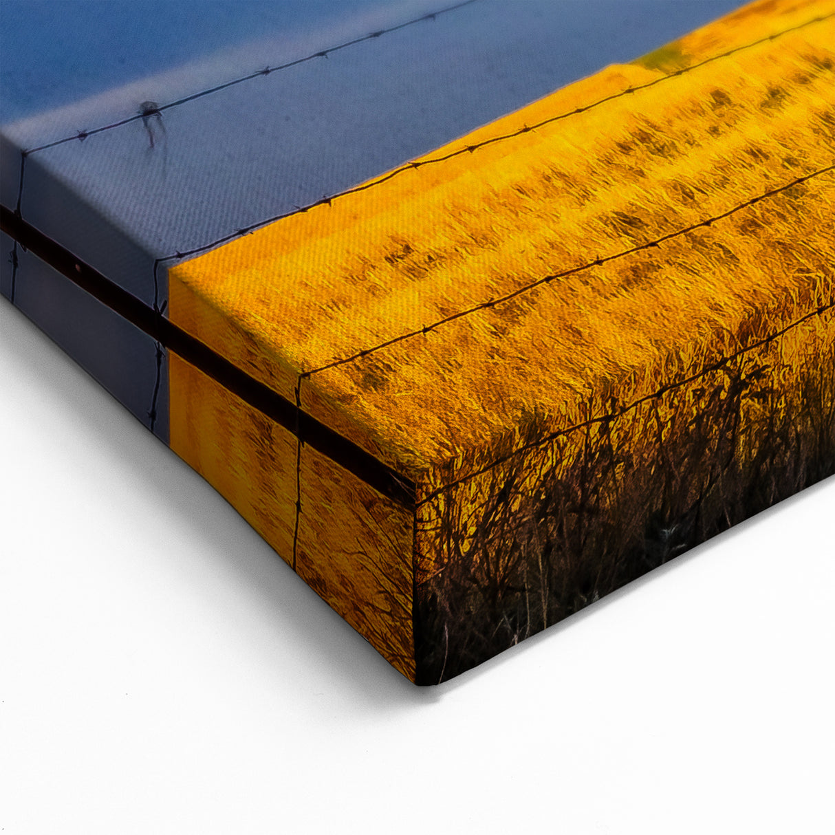 Kansas Landscape Prints - Rustic Windmill in Golden Wheat Field Art