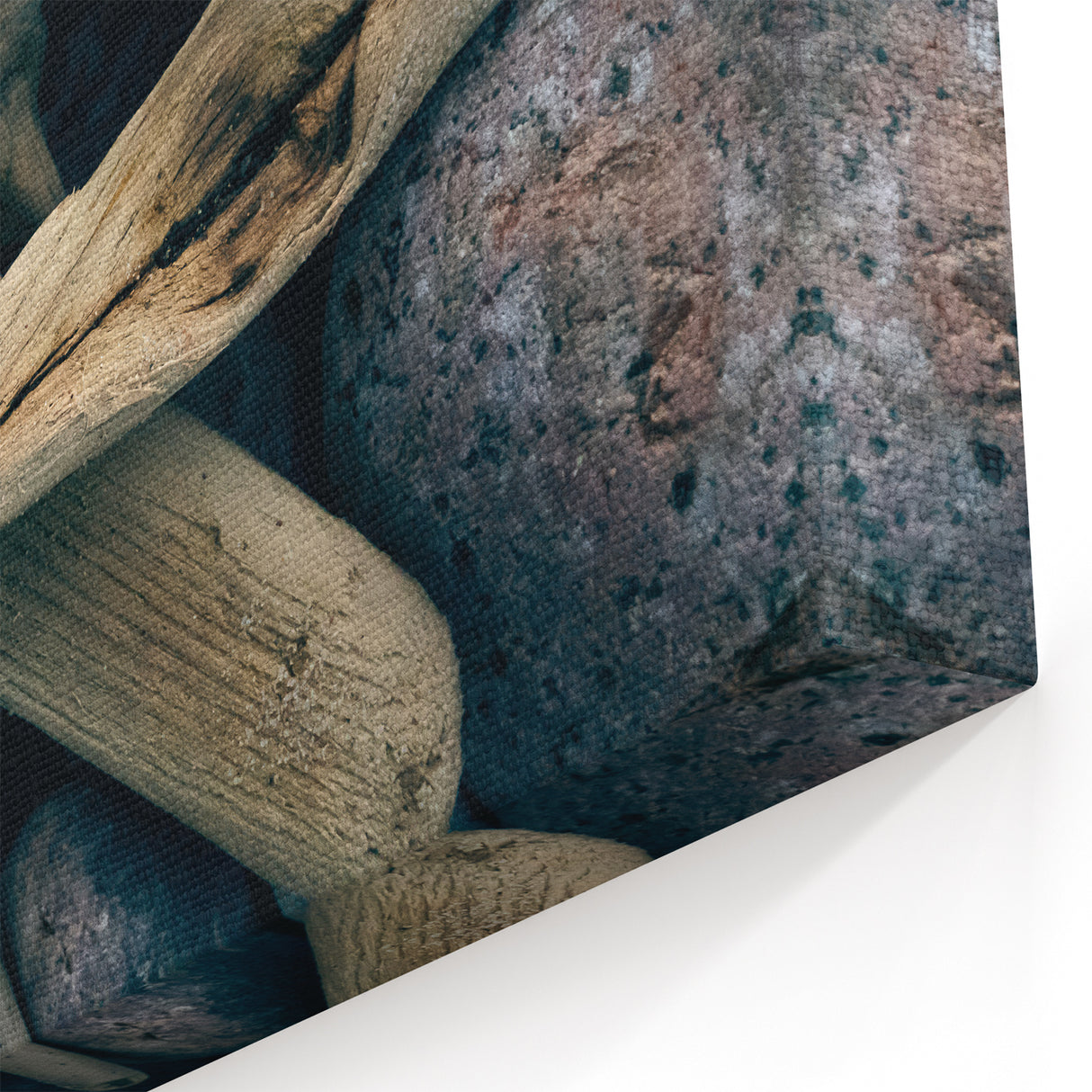 Baltic Region Art - Driftwood and Stones Coastal Textures from Lithuania