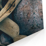 Baltic Region Art - Driftwood and Stones Coastal Textures from Lithuania