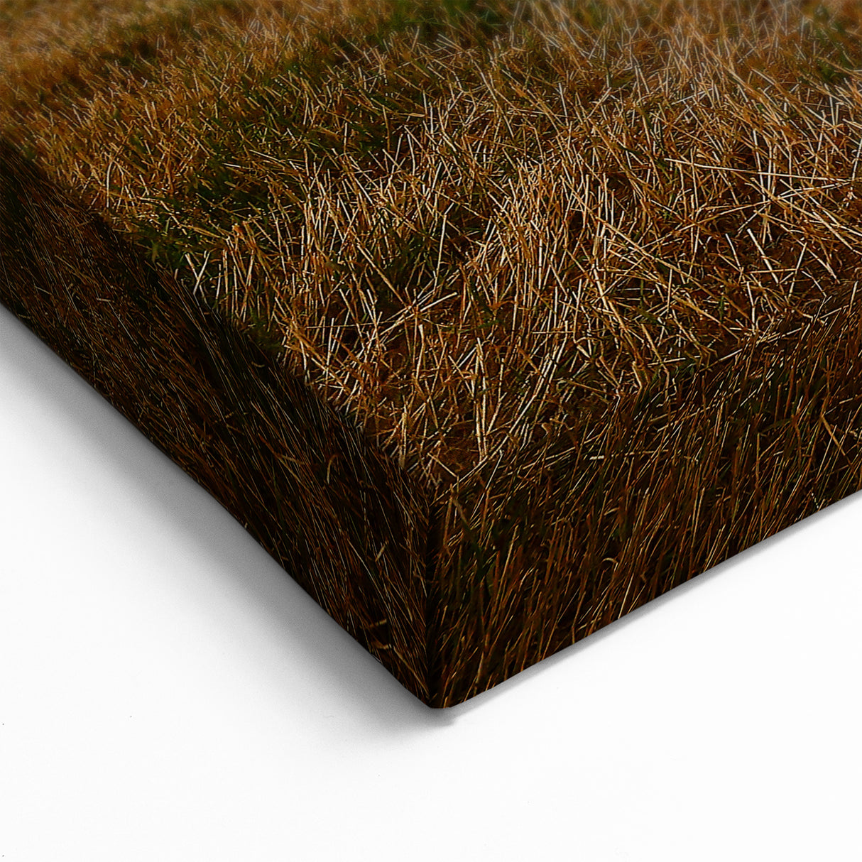 Kansas Storm Landscape Wall Art – Scenic Kansas Nature Canvas Prints