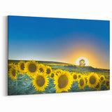 Sunflower Field Kansas Wall Art – Scenic Kansas Nature Canvas Prints