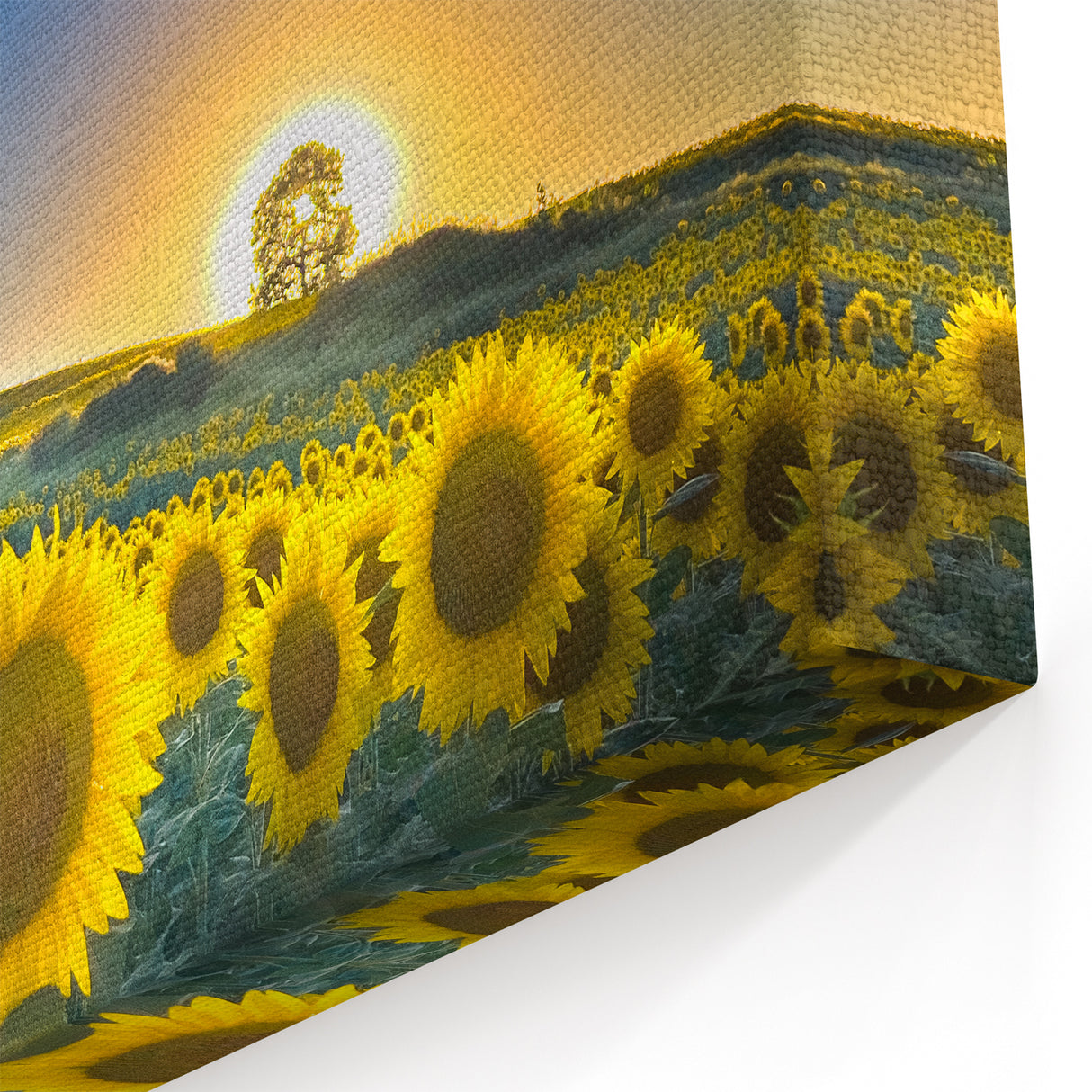 Sunflower Field Kansas Wall Art – Scenic Kansas Nature Canvas Prints