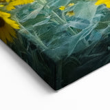 Sunflower Field Kansas Wall Art – Scenic Kansas Nature Canvas Prints