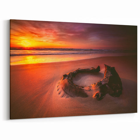 Lithuania Wall Art - Golden Sunset on Baltic Sea Driftwood Shoreline