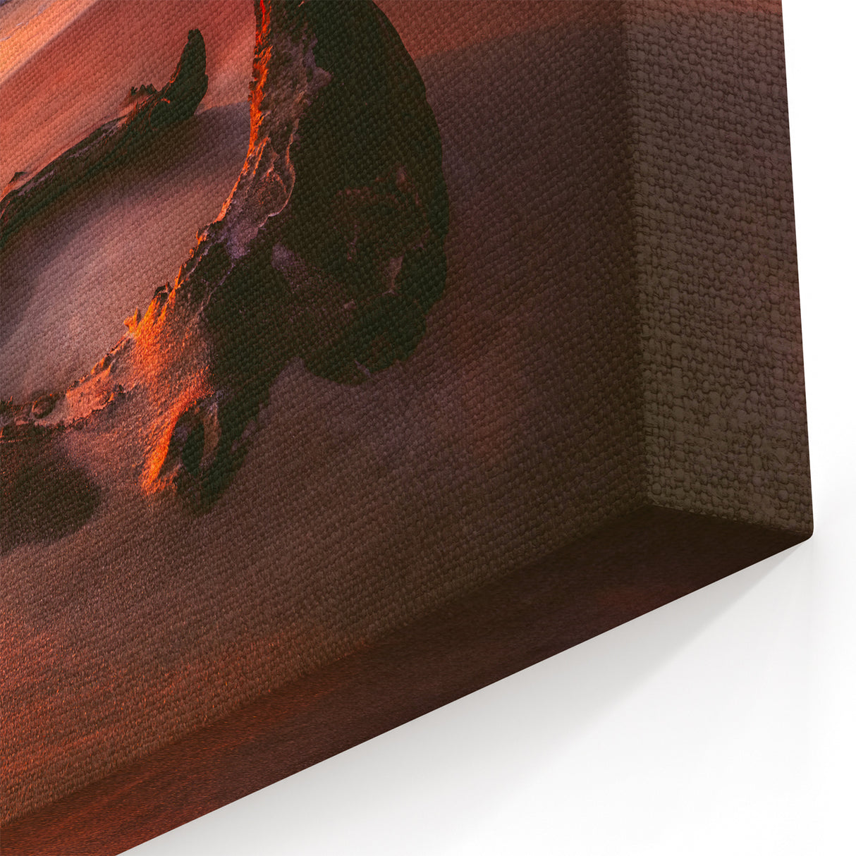 Lithuania Wall Art - Golden Sunset on Baltic Sea Driftwood Shoreline