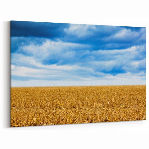 Iowa Scenery Prints - Golden Cornfield Under Stormy Sky Iowa Home Decor