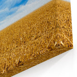 Iowa Scenery Prints - Golden Cornfield Under Stormy Sky Iowa Home Decor