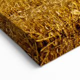 Iowa Scenery Prints - Golden Cornfield Under Stormy Sky Iowa Home Decor