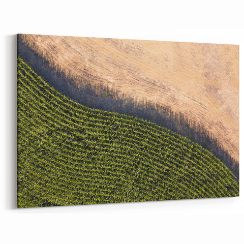 Iowa Canvas Prints - Aerial View of Cornfields Iowa Nature Photography Art