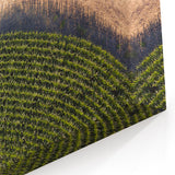 Iowa Canvas Prints - Aerial View of Cornfields Iowa Nature Photography Art