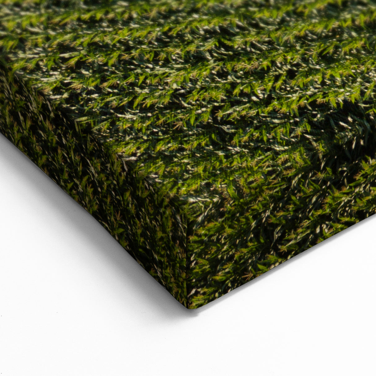 Iowa Canvas Prints - Aerial View of Cornfields Iowa Nature Photography Art