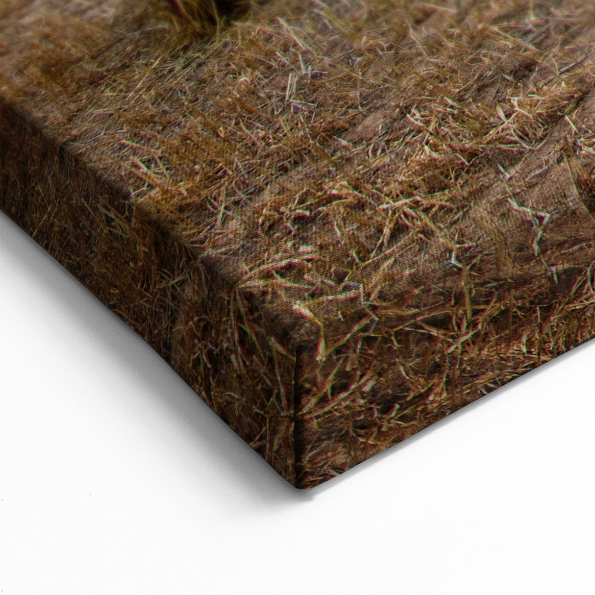 Iowa Wall Art - Rustic Barn and Hay Bales Iowa Rural Scenery Canvas Print