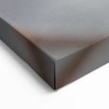 Iowa Nature Prints - Cedar Waxwing on Branch Iowa Wildlife Photography Art