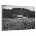 Iowa Scenery Prints - Red Barn in Cornfield Iowa Rural Landscape Art