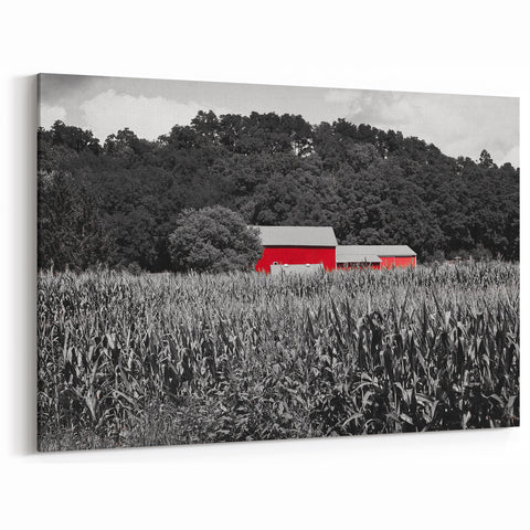 Iowa Scenery Prints - Red Barn in Cornfield Iowa Rural Landscape Art