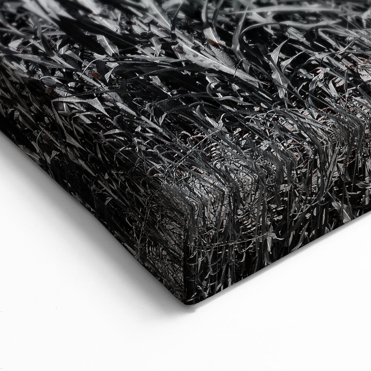 Iowa Scenery Prints - Red Barn in Cornfield Iowa Rural Landscape Art