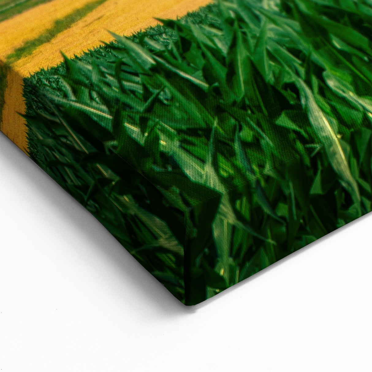 Iowa Canvas Prints - Wind Turbines and Farmland Iowa Home Decor Art