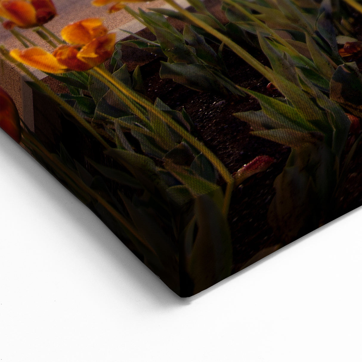 Baltimore Scenic Prints - Chesapeake Bay Bridge at Sunset Scene