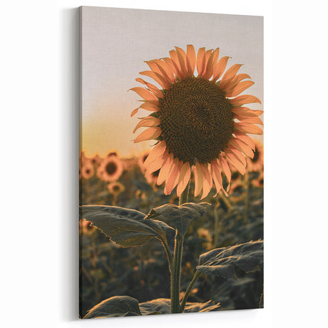 Farmhouse Wall Art – Sunflower at Sunset – Rustic Country Decor