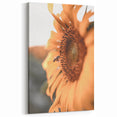 Farmhouse Wall Art – Sunflower and Bee Close-Up – Rustic Country Decor