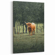 Farmhouse Wall Art – Highland Cow in Lush Field – Rustic Country Decor