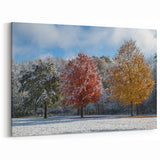 Iowa Scenery Prints - Snow on Autumn Trees Iowa Landscape Art Decor