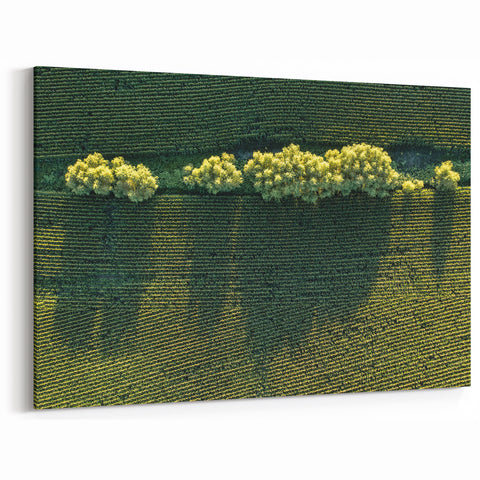 Iowa Photography Art - Aerial View of Cornfields Scenic Iowa Wall Art