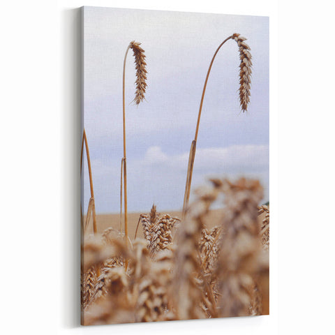 Farmhouse Wall Art – Wheat Stalks Close-Up in Field – Rustic Decor