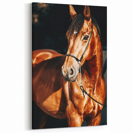 Farmhouse Wall Art – Elegant Horse Portrait – Rustic Country Decor