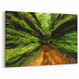 Scenic Indiana Wall Art - Lush Green Canyon Indiana Scenery Prints
