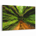 Scenic Indiana Wall Art - Lush Green Canyon Indiana Scenery Prints