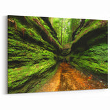 Scenic Indiana Wall Art - Lush Green Canyon Indiana Scenery Prints